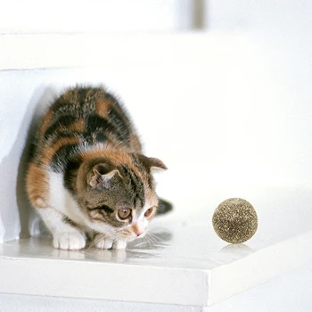 Pet Mačka Prírodné Catnip Liečbu Loptu Prospech Domov Naháňa Hračky Zdravé, Bezpečné Jedlé Liečbe Obrázok 2