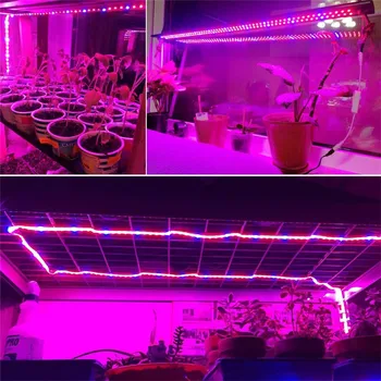 Celé Spektrum LED Rásť Svetelné Pásy 1M 2M 3M 4M 5M SMD 5050 DC12V Svetiel Rastlín Rastúcich na zníženie emisií Skleníkových Hydroponických rastlín Stan